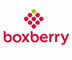 Boxberry